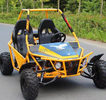 Experience the Power and Performance of this 4 Stroke 2 Seater Off-Road Dune Buggy