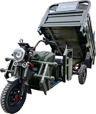 1000W Electric Tricycles Cargo Truck Self-discharging 3 Wheel Motorcycle for Adult