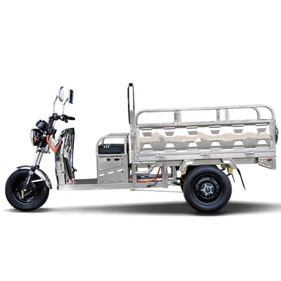 Max Speed 20km/h 801-1000W Electric Tricycle for Adult Agricultural Load Cargo Transport