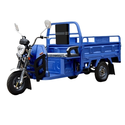 Hot Trending 1200w Open Body 3 Wheel Motorcycle Electric Cargo Tricycle for Transport