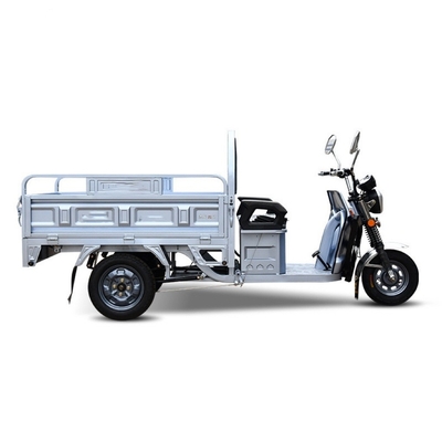 Hot Trending 1200w Open Body 3 Wheel Motorcycle Electric Cargo Tricycle for Transport