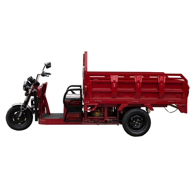 High Power Electric Tricycle for Household Cargo Bike Truck Load Climbing Vehicle