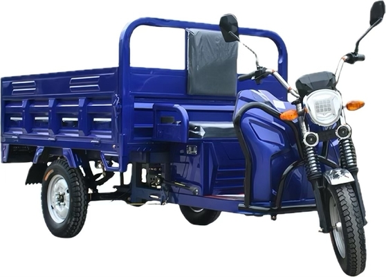 400-1000kg Loading Capacity 1500W Electric Tricycle Cargo Vehicle for Farm and Freight