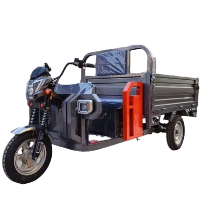 Performance Electric Tricycle Motorcycle with 1200W Power and Self-discharging Feature