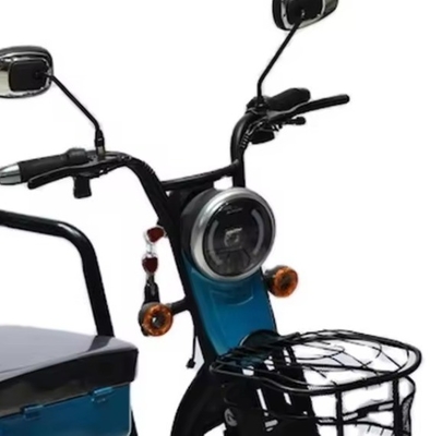 Family Truck Electric Tricycle for Elderly 200-300kg Payload Capacity Open Body Type