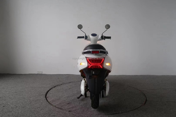 500W/1000W/1500W/2000W Brushless Motor Electric Scooter for Adults Max. Speed 40 60km/h