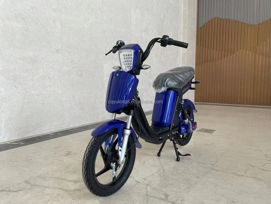 Customerized LCD Display Electric Bicycle with Simple Power-Assisted Functionality