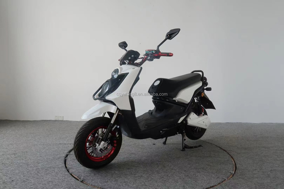 300W 500W 800W DC Brushless Motor Electric Motorcycle with Disc Brake and 10-Inch Tire