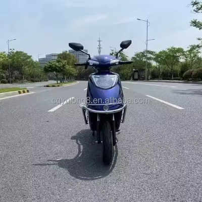 Electric Bikes Max. Speed 40-60km/h Motor Power 500W/1000W/1500W/2000W Brushless Motor