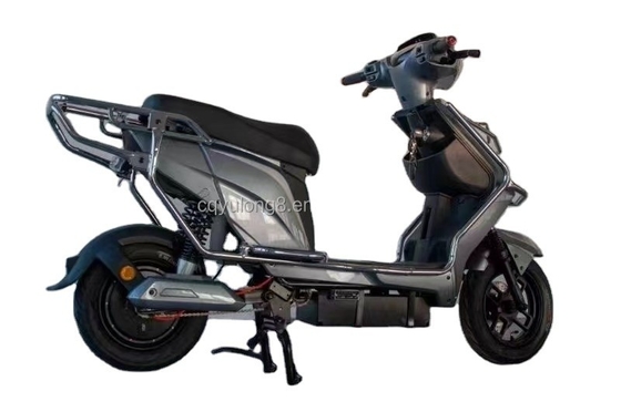 500W/1000W/1500W/2000W Brushless Motor Electric Dirt Bike for Off-Road Adventures