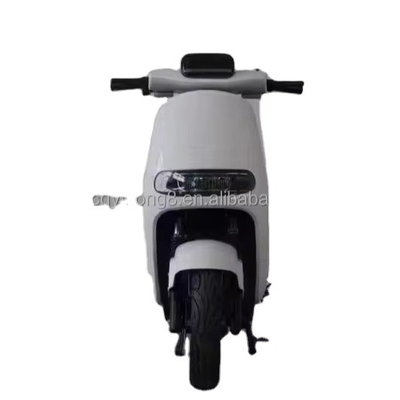 Experience the Power and Speed of Our 1500W/2000W Electric Dirt Bike for Adult Riders
