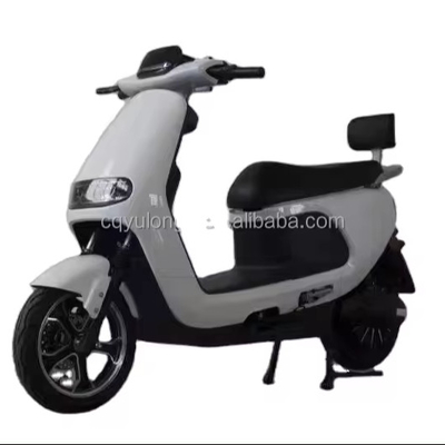 Experience the Power and Speed of Our 1500W/2000W Electric Dirt Bike for Adult Riders