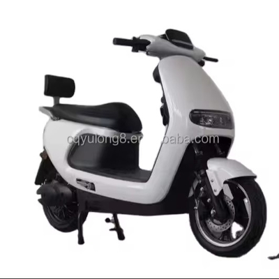Experience the Power and Speed of Our 1500W/2000W Electric Dirt Bike for Adult Riders