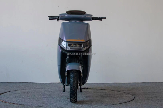 Experience the Power and Speed of Our 1500W/2000W Electric Dirt Bike for Adult Riders