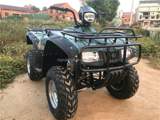 CE certified 200cc balance bar engine bike ATV quad with 800W motor and 60V voltage