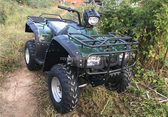 CE certified 200cc balance bar engine bike ATV quad with 800W motor and 60V voltage