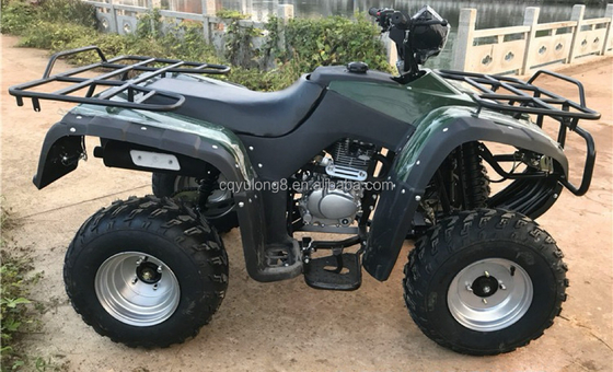 CE certified 200cc balance bar engine bike ATV quad with 800W motor and 60V voltage