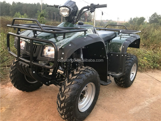 CE certified 200cc balance bar engine bike ATV quad with 800W motor and 60V voltage