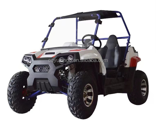 Farm Electric UTV 60v 3000w with 200-300kg Payload Capacity and 5-7h Charge Time