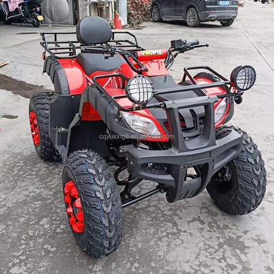 Electric Start 250cc Quad Bike with 500W Motor and Axle-Driven All-Terrain Design