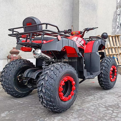 Electric Start 250cc Quad Bike with 500W Motor and Axle-Driven All-Terrain Design