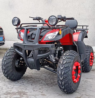 Electric Start 250cc Quad Bike with 500W Motor and Axle-Driven All-Terrain Design