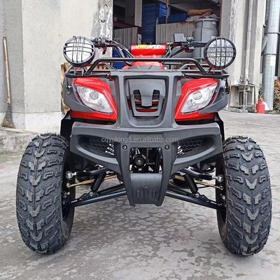 Electric Start 250cc Quad Bike with 500W Motor and Axle-Driven All-Terrain Design