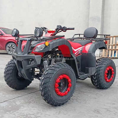 Electric Start 250cc Quad Bike with 500W Motor and Axle-Driven All-Terrain Design