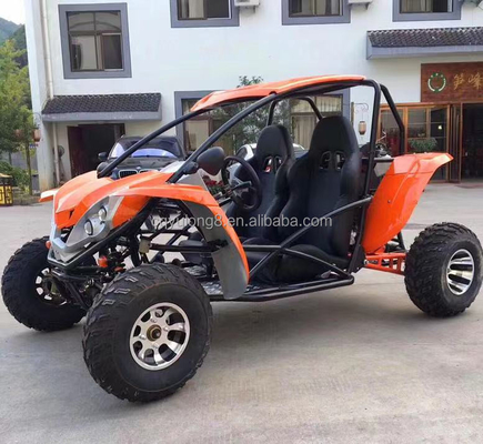 Maximum Torque Nm 40-60Nm and 2 Wheel Drive 300cc Go Kart Buggy for Adult Sale