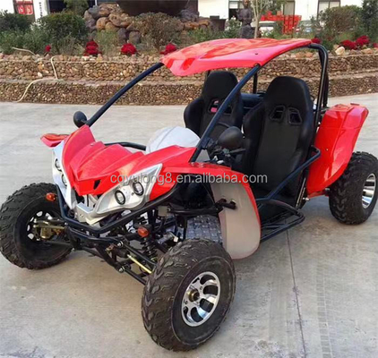 Maximum Torque Nm 40-60Nm and 2 Wheel Drive 300cc Go Kart Buggy for Adult Sale