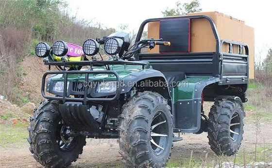 Off-Road 250cc Farm Quad Bike with Automatic Transmission and 60V Battery