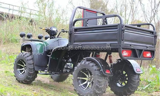 Off-Road 250cc Farm Quad Bike with Automatic Transmission and 60V Battery