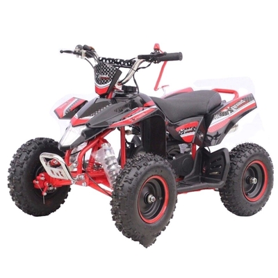Electric Mini ATV Quad Bike 500w UTV Shaft Drive ATV Four Wheeler with 80km/h Max Speed