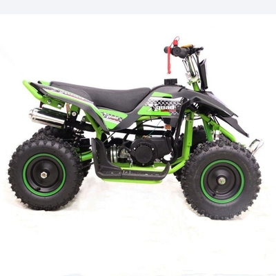 Electric Mini ATV Quad Bike 500w UTV Shaft Drive ATV Four Wheeler with 80km/h Max Speed