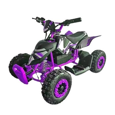 Discover the Excitement of Our Mini Quad Buggy ATV 500W Electric ATV for Kids and Adults