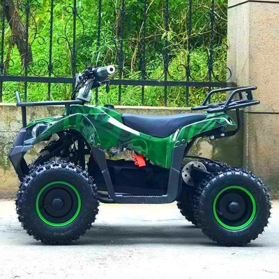 Electric ATV 800w Mini Quad Bike for Adults and Kids Small Off-Road Outdoor Sports Car