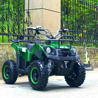 Electric ATV 800w Mini Quad Bike for Adults and Kids Small Off-Road Outdoor Sports Car