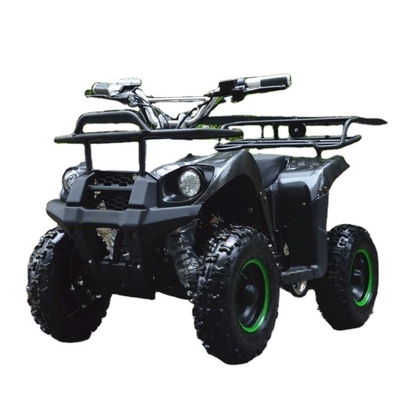 800w Mini Electric ATV for Kids and Adults Small Off-road Electric Quad Bike ATV