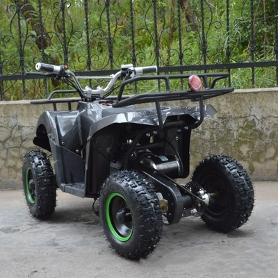 800w Mini Electric ATV for Kids and Adults Small Off-road Electric Quad Bike ATV
