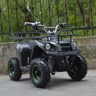 800w Mini Electric ATV for Kids and Adults Small Off-road Electric Quad Bike ATV