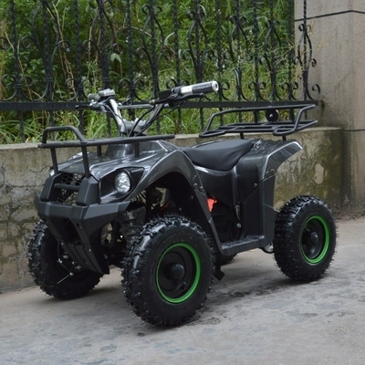 800w Mini Electric ATV for Kids and Adults Small Off-road Electric Quad Bike ATV