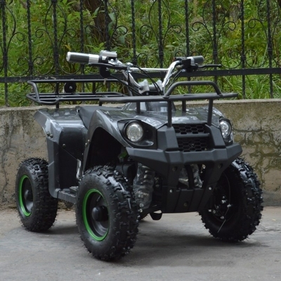 800w Mini Electric ATV for Kids and Adults Small Off-road Electric Quad Bike ATV