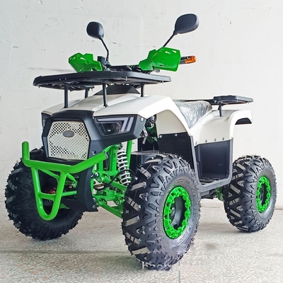 36V Mini Electric ATV Outdoor Quad for Kids and Adults 800W Shaft Drive Off-Road Bike