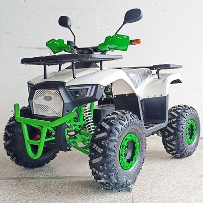 36V Mini Electric ATV Outdoor Quad for Kids and Adults 800W Shaft Drive Off-Road Bike
