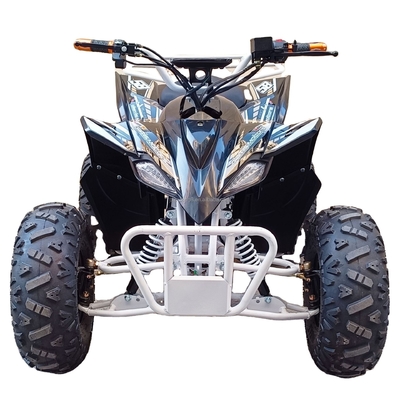 Loading Capacity 400-1000kg Convenient Electric Four-Wheel Bicycle 800w Beach Vehicle