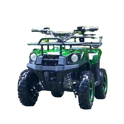 500-800W Shaft Drive Motor Electric Mini ATV Buggy 4 Wheel Quad Bike for Kids and Adults