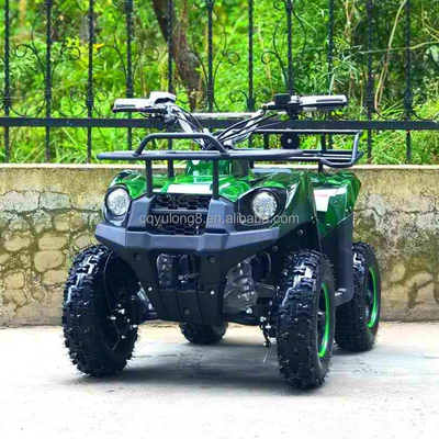 500-800W Shaft Drive Motor Electric Mini ATV Buggy 4 Wheel Quad Bike for Kids and Adults