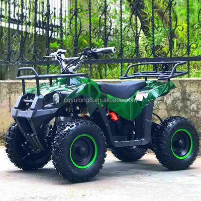 500-800W Shaft Drive Motor Electric Mini ATV Buggy 4 Wheel Quad Bike for Kids and Adults