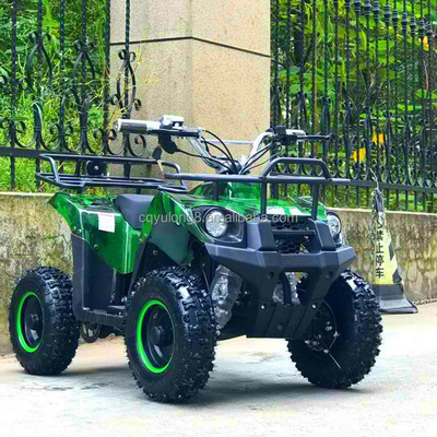 500-800W Shaft Drive Motor Electric Mini ATV Buggy 4 Wheel Quad Bike for Kids and Adults