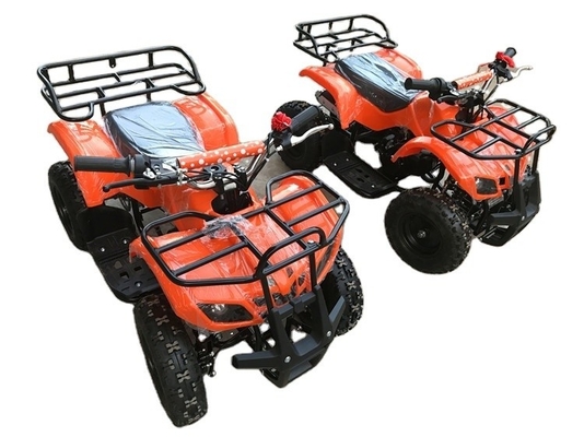 500w 36v Electric Kids Quad Bike with CE Battery and ATV Function Speed 30-50km/h 120kg
